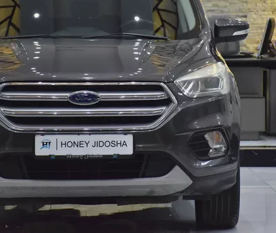 AED 555 EMi at 0% DP | Ford Escape Titanium AWD ( 2019 Model ) in Grey Color GCC Specs-3