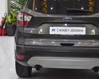 AED 555 EMi at 0% DP | Ford Escape Titanium AWD ( 2019 Model ) in Grey Color GCC Specs-7