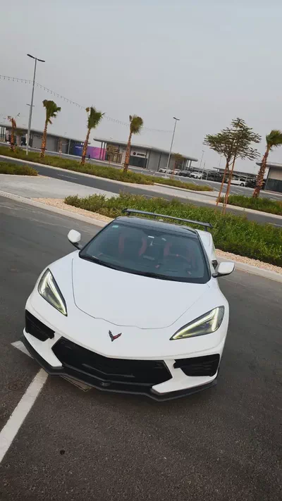stingray-0