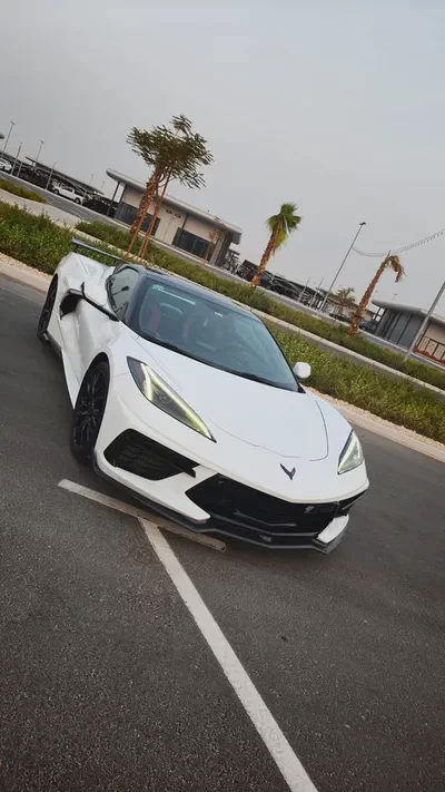 stingray-1