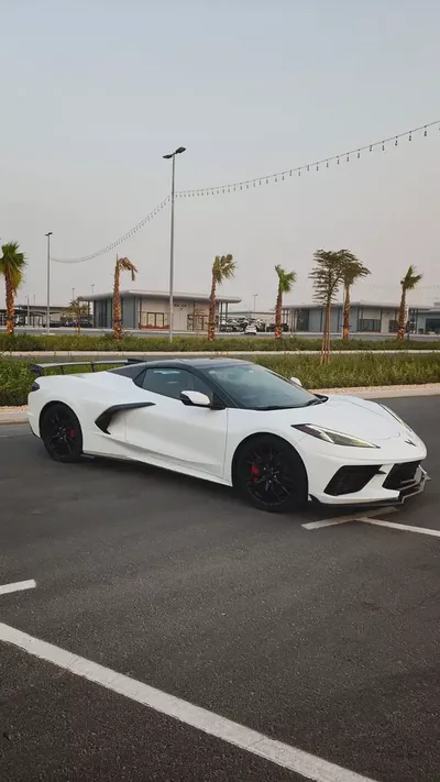stingray-2