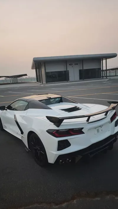 stingray-3