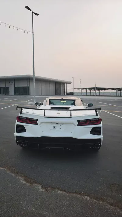 stingray-6