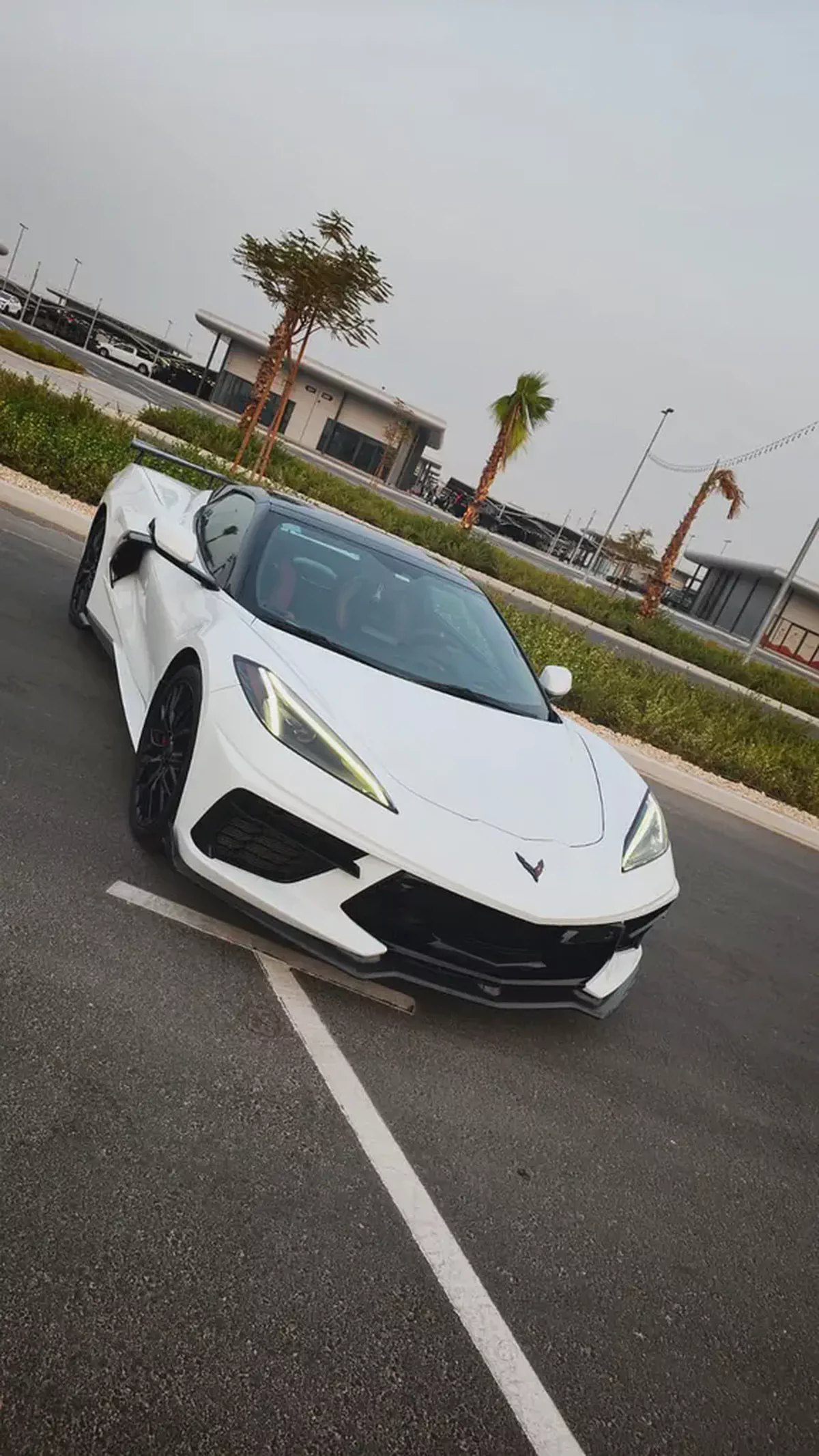 stingray-1-1