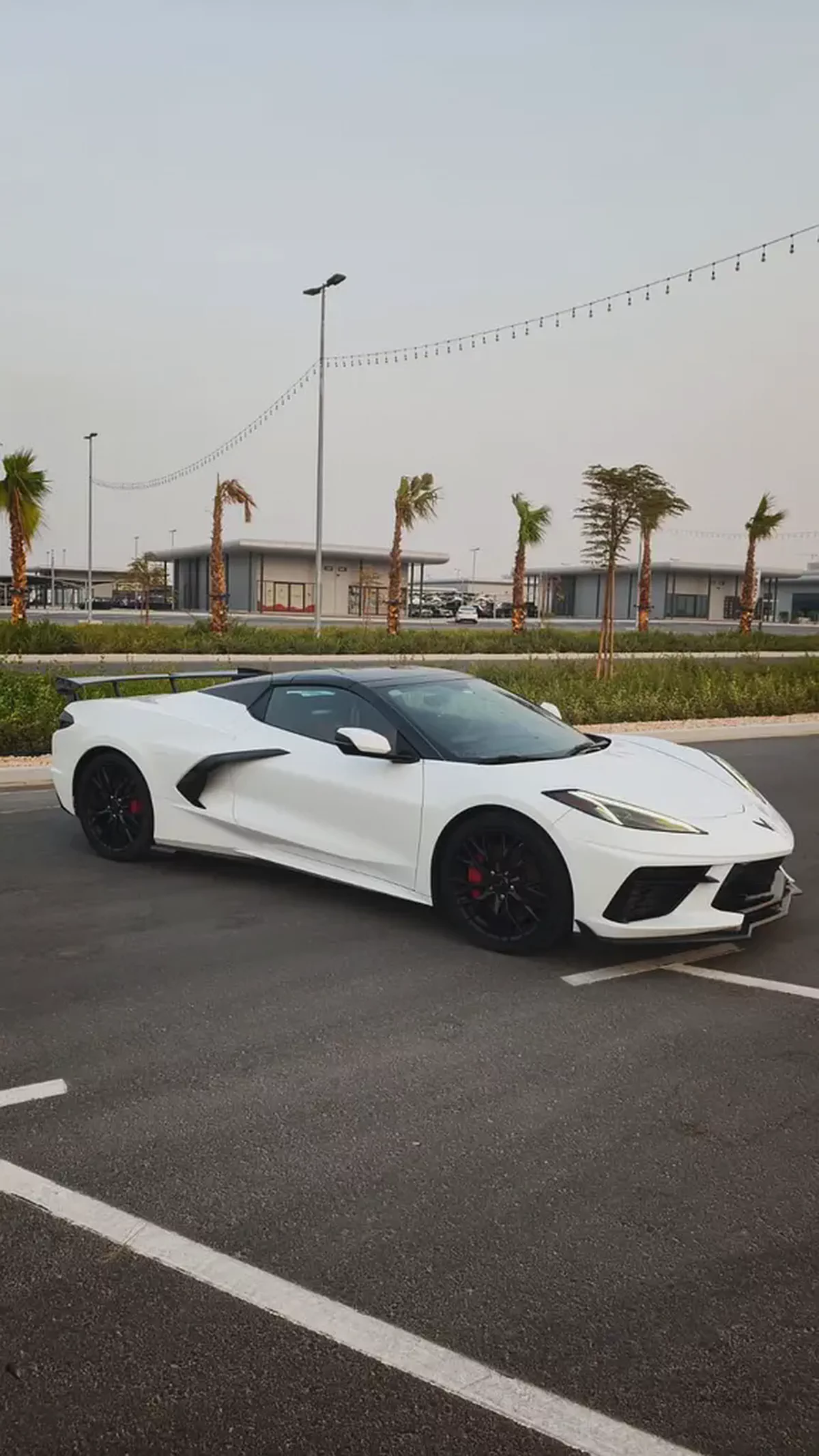 stingray-2-2