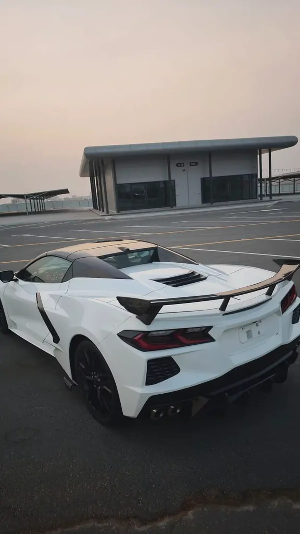 stingray-3-3