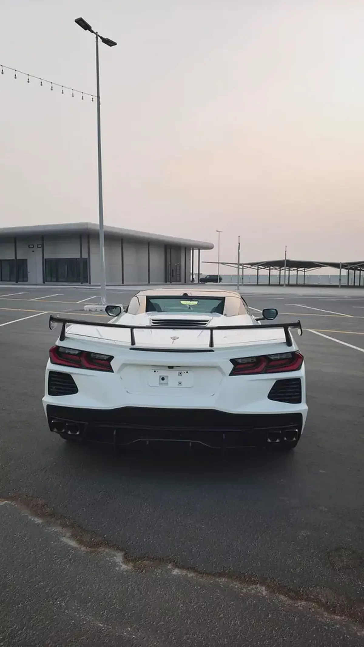 stingray-6-6