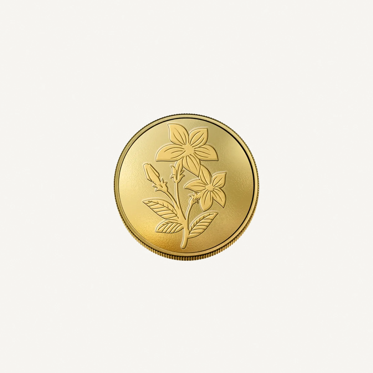 Emirates Minting 10g Gold Coin-1-1
