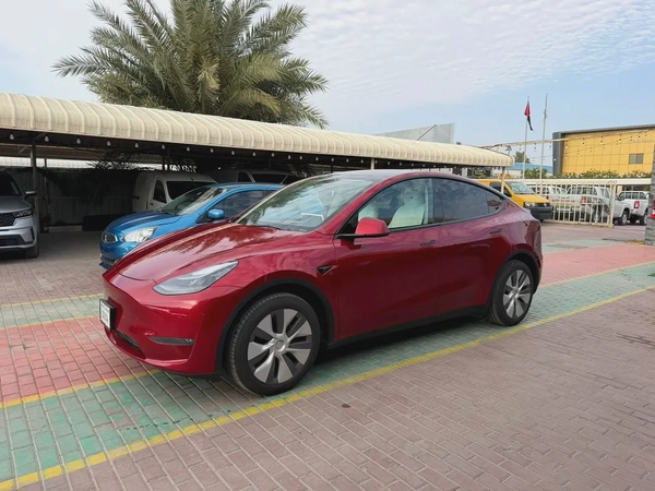 2025 Tesla Model Y Long Range - American Specs - Dual Motor AWD