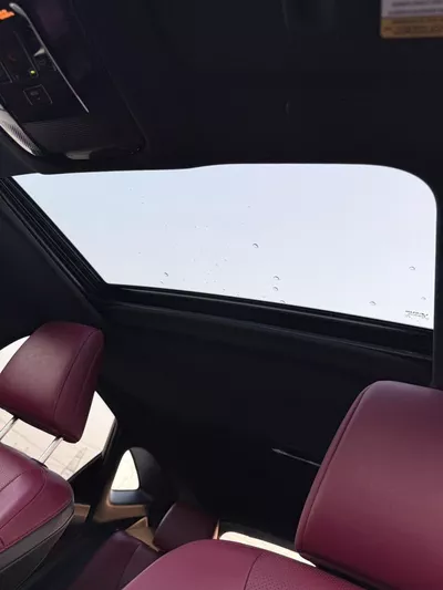 Lexus NX350 PREMIER-9