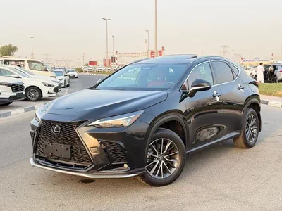 Lexus NX350 PREMIER-12