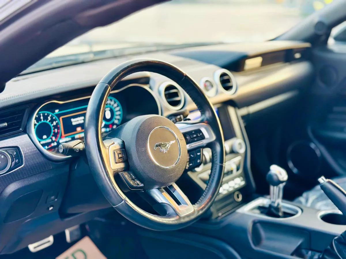 2019 Ford Mustang Ecoboost High Performance - # 28163-9-9