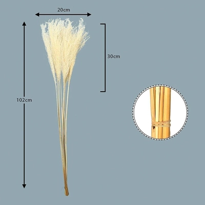 YATAI Natural Dried Pampas Grass Flowers Spray Preserved Flower For Decoration Wholesale Dried Feather Grass Dried Flowers Bouquet Vase Filler Décor Holiday Ornament Wedding Party Decoration (White)-1