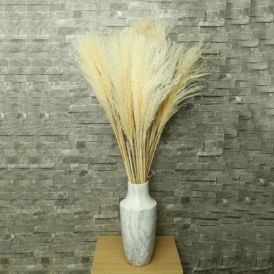 YATAI Natural Dried Pampas Grass Flowers Spray Preserved Flower For Decoration Wholesale Dried Feather Grass Dried Flowers Bouquet Vase Filler Décor Holiday Ornament Wedding Party Decoration (White)-2