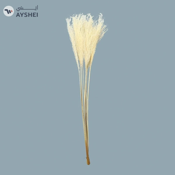 YATAI Natural Dried Pampas Grass Flowers Spray Preserved Flower For Decoration Wholesale Dried Feather Grass Dried Flowers Bouquet Vase Filler Décor Holiday Ornament Wedding Party Decoration (White)