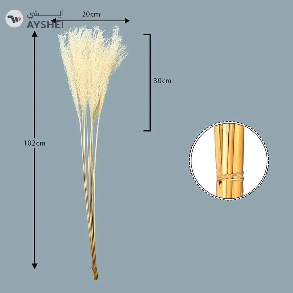 YATAI Natural Dried Pampas Grass Flowers Spray Preserved Flower For Decoration Wholesale Dried Feather Grass Dried Flowers Bouquet Vase Filler Décor Holiday Ornament Wedding Party Decoration (White)