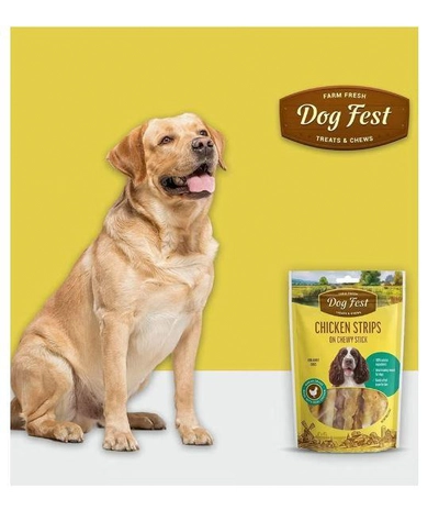 Dog Fest Chicken Strips On A Chewy Stick Treats For Adult Dogs 90 Gm-1