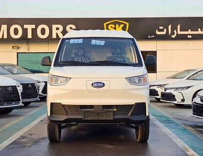Sinogold Sena Ev300 CARGO ELECTRIC || DUAL CHRAGING PORT / REAR CAMERA / REAR PARKING SENSOR (CODE #  SEVCR25)-0