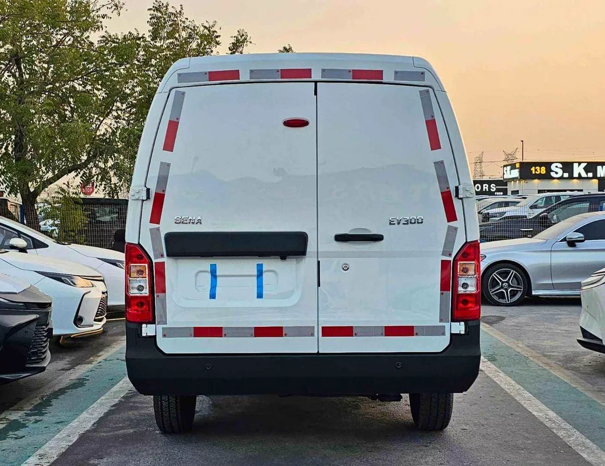 Sinogold Sena Ev300 CARGO ELECTRIC || DUAL CHRAGING PORT / REAR CAMERA / REAR PARKING SENSOR (CODE #  SEVCR25)-3-0