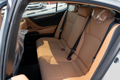 Lexus ES-Series 300 h-20