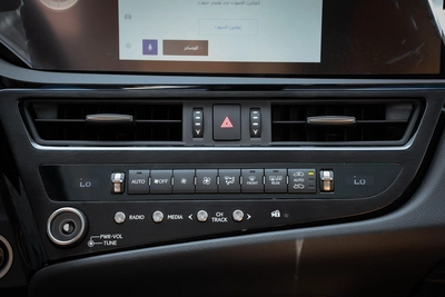 Lexus ES-Series 300 h-13