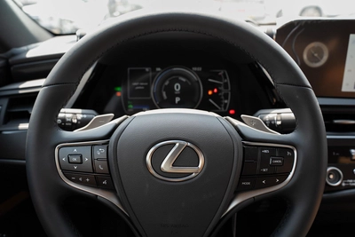 Lexus ES-Series 300 h-15