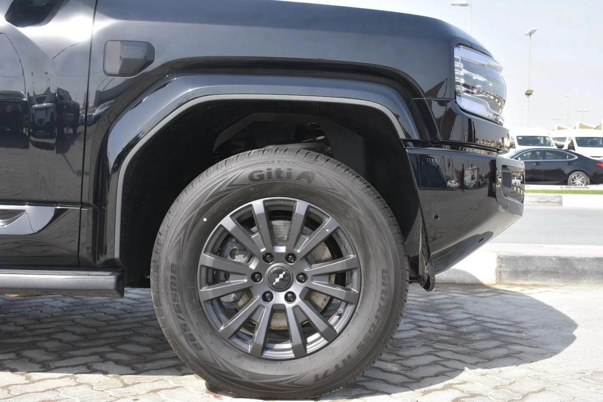 BYD LEOPARD 5 ULTRA 2025 | BLACK-13-13
