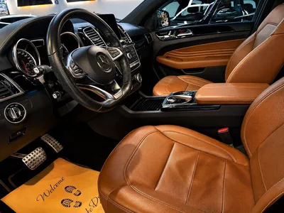 Mercedes Benz GLE43 AMG STANDARD-6