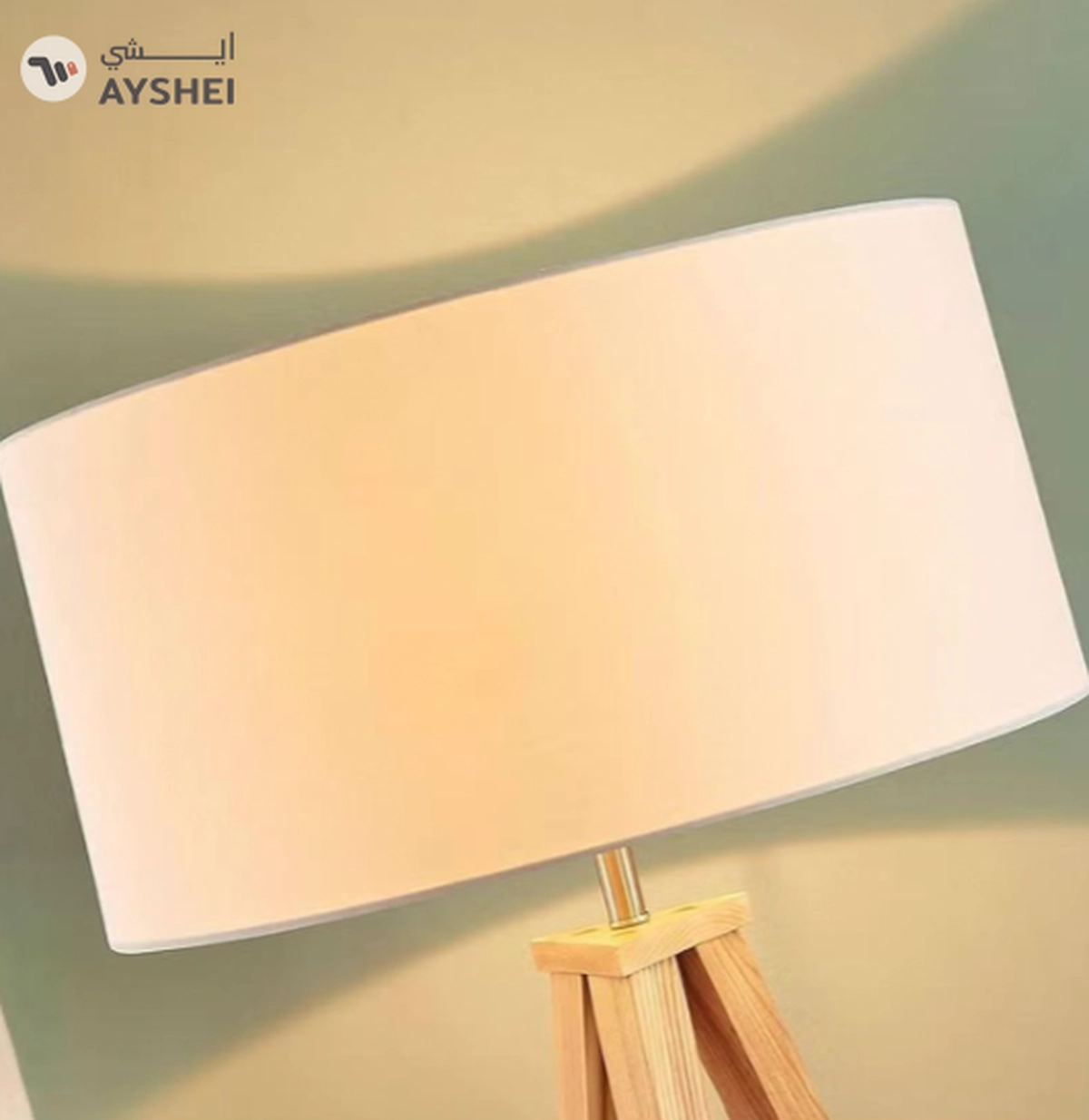 DubaiGallery Nordic Vertical Bedside Floor Lamp Inclined Rod for Living Room & Bedroom With 12W-3-3