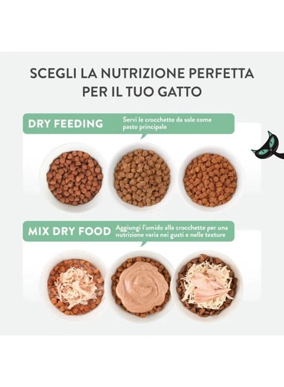 Schesir Born Carnivore Grain Free Oven Baked Dry Food [High-Protein] For Cat-1