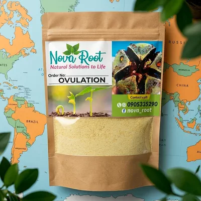 Nova Root Fertility-9