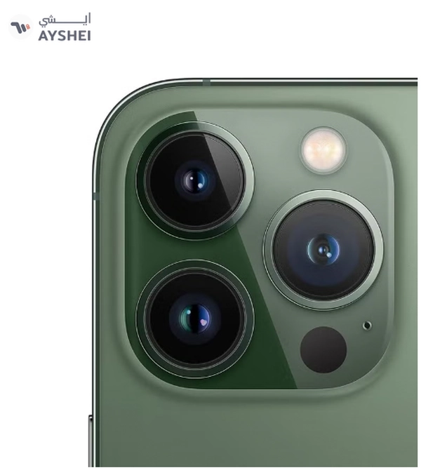 Apple Renewed - iPhone 13 Pro 256GB Green 5G With Facetime - International Version
