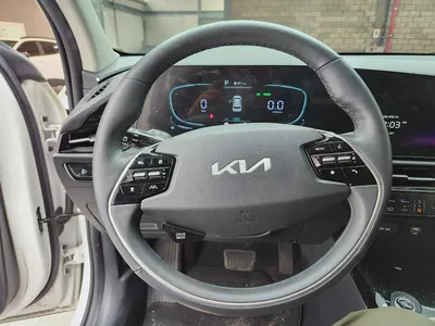 THE ALL NEW NIRO (H) 1.6 Prestige-7