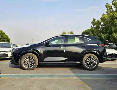 Lexus NX350 PREMIER OM | 2.4L PETROL | PWR WITH LEATHER SEATS | SUNROOF ( CODE # NXP3E)-2