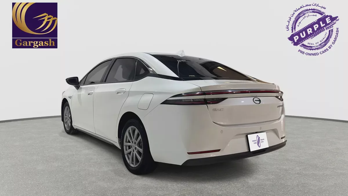 GAC | Electric | AION ES | 2026 | Gargash Warranty | Service History-3-3