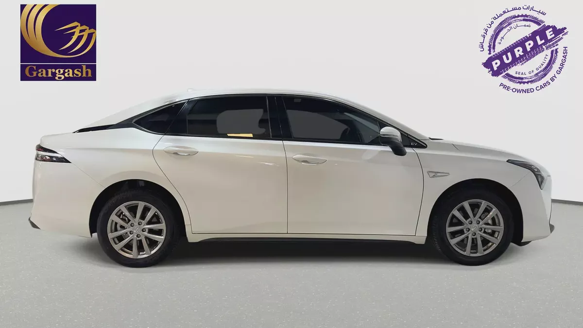 GAC | Electric | AION ES | 2026 | Gargash Warranty | Service History-5-5