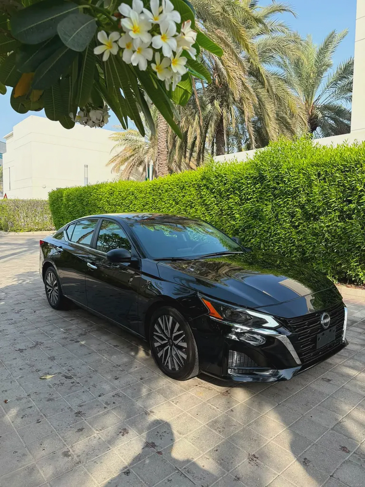 2025 Nissan Altima SV | American Specs | Pristine Condition-2-2