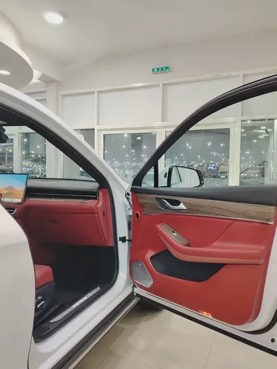 Brand New 2025 Seres 5 Premium - GCC Specs - Luxury Electric Performance-12