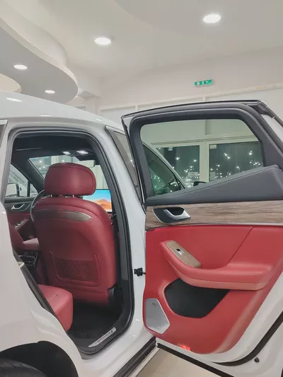 Brand New 2025 Seres 5 Premium - GCC Specs - Luxury Electric Performance-15