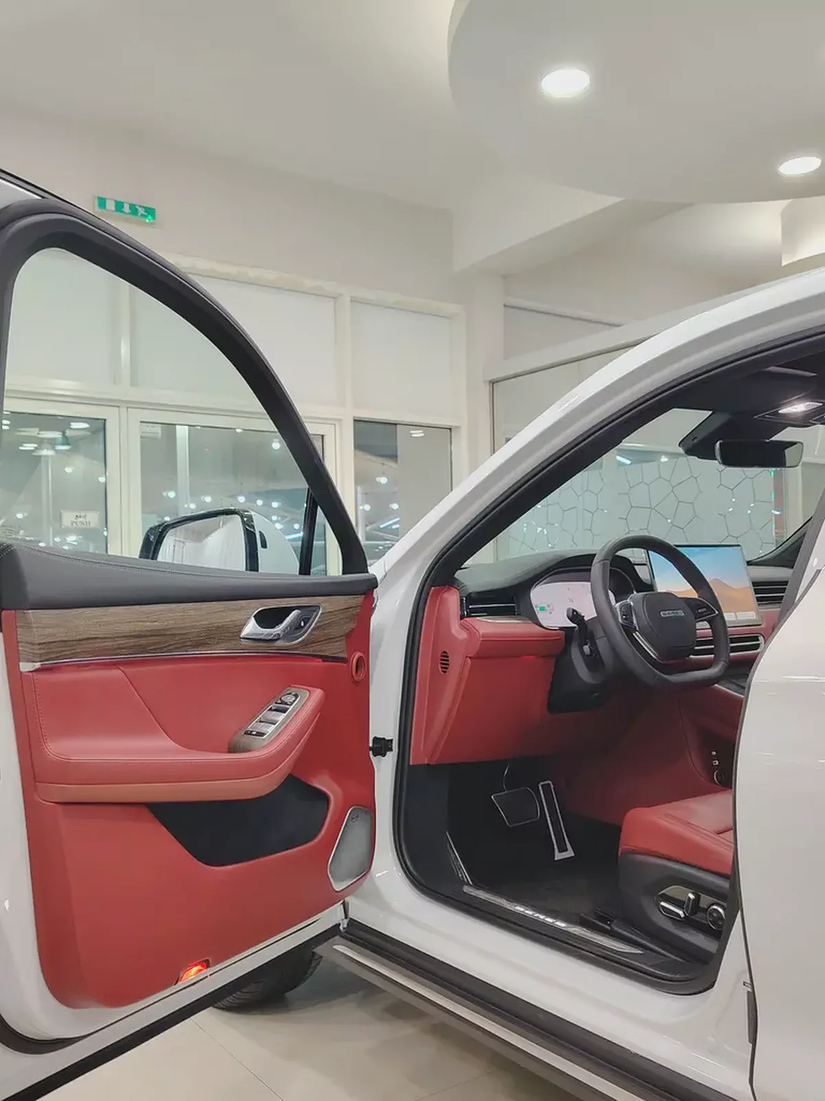Brand New 2025 Seres 5 Premium - GCC Specs - Luxury Electric Performance-6-6
