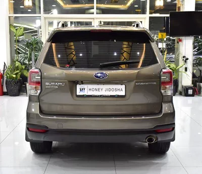 Subaru Forester AWD ( 2018 Model ) in Brown Color GCC Specs-7