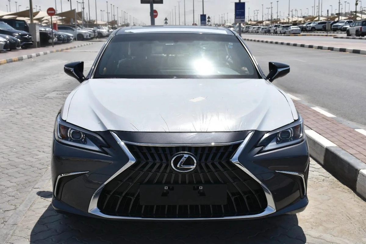 NEW ES250 GCC 2023 | GREY LIKE-12-12