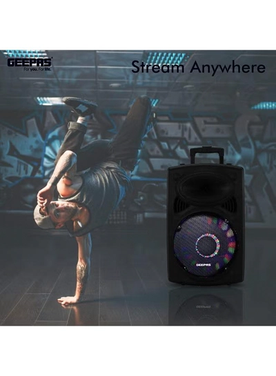 GEEPAS Rechargeable Portable Trolley Speaker System With USB/Bluetooth/SD Card Slots/FM Radio GMS8519 Black-0