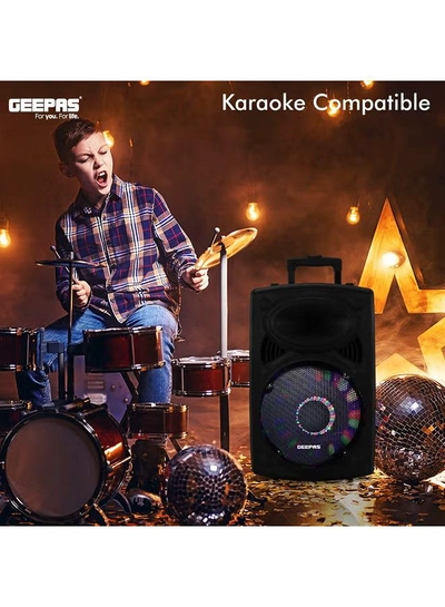 GEEPAS Rechargeable Portable Trolley Speaker System With USB/Bluetooth/SD Card Slots/FM Radio GMS8519 Black-2