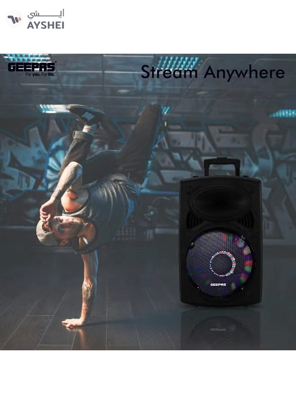 GEEPAS Rechargeable Portable Trolley Speaker System With USB/Bluetooth/SD Card Slots/FM Radio GMS8519 Black