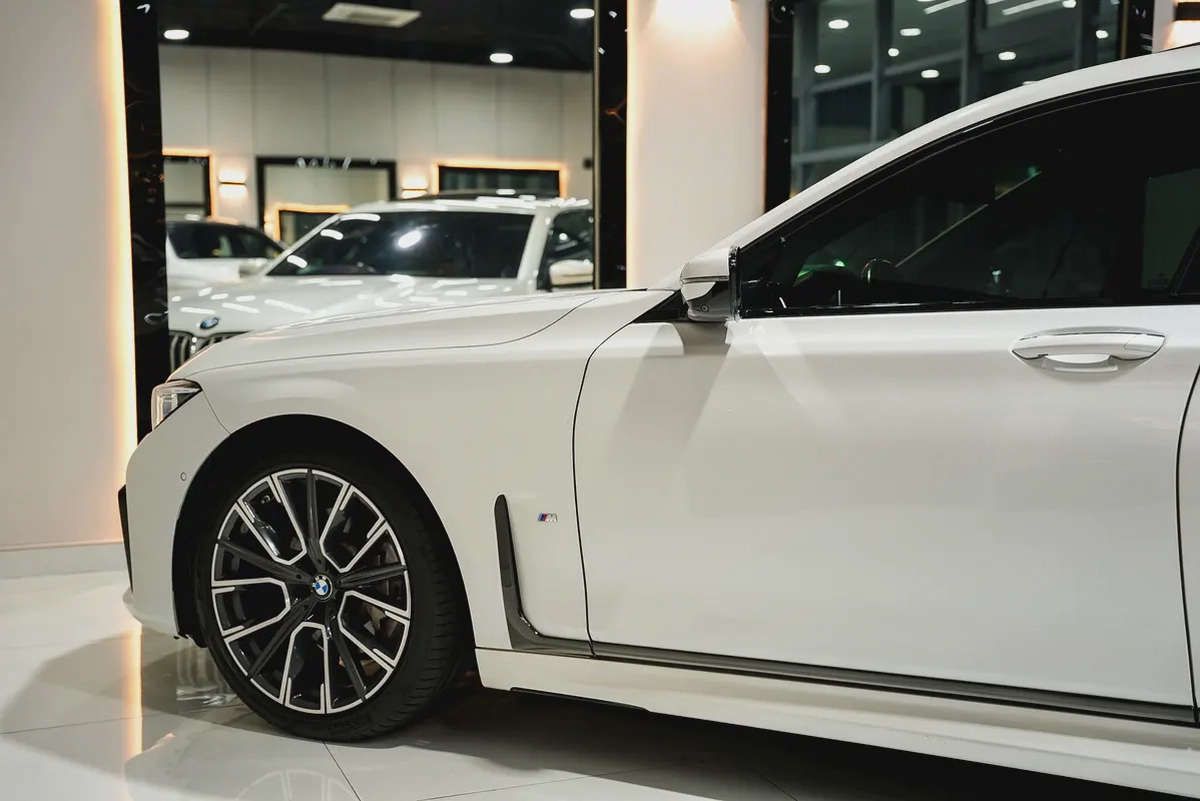 BMW 730 Li Master class-4-4