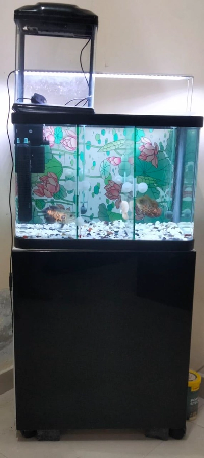 Fish Aquarium for Sale – Complete Setup with Cabinet & Oscar Fish-0