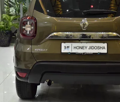 Renault Duster ( 2020 Model ) in Brown Color GCC Specs-3