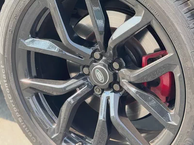 **2019**GERMAN SPEC NEAT AND CLEAN-19
