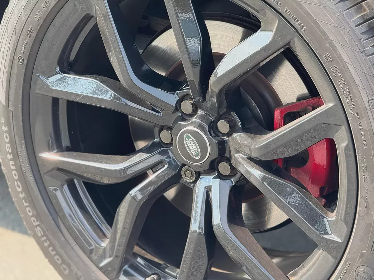 **2019**GERMAN SPEC NEAT AND CLEAN-19-19